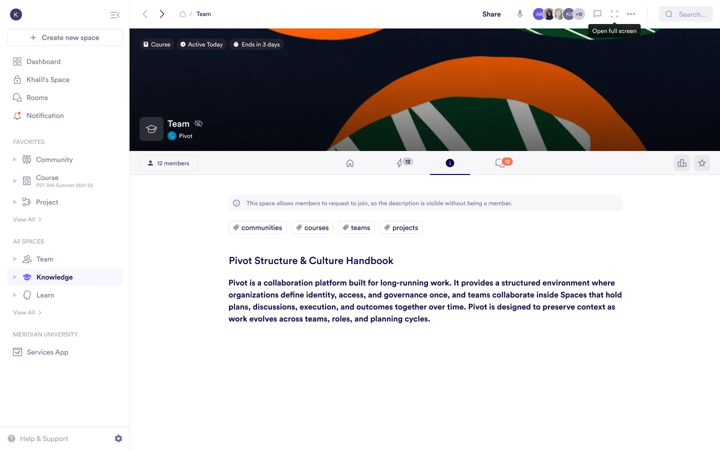 Space presence indicators